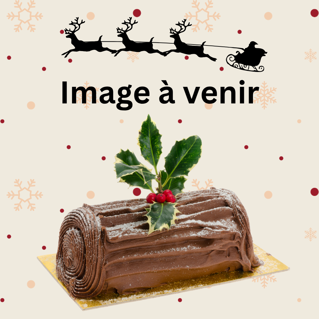 Victor, bûche mousse au chocolat, crème mangue, citron et basilic