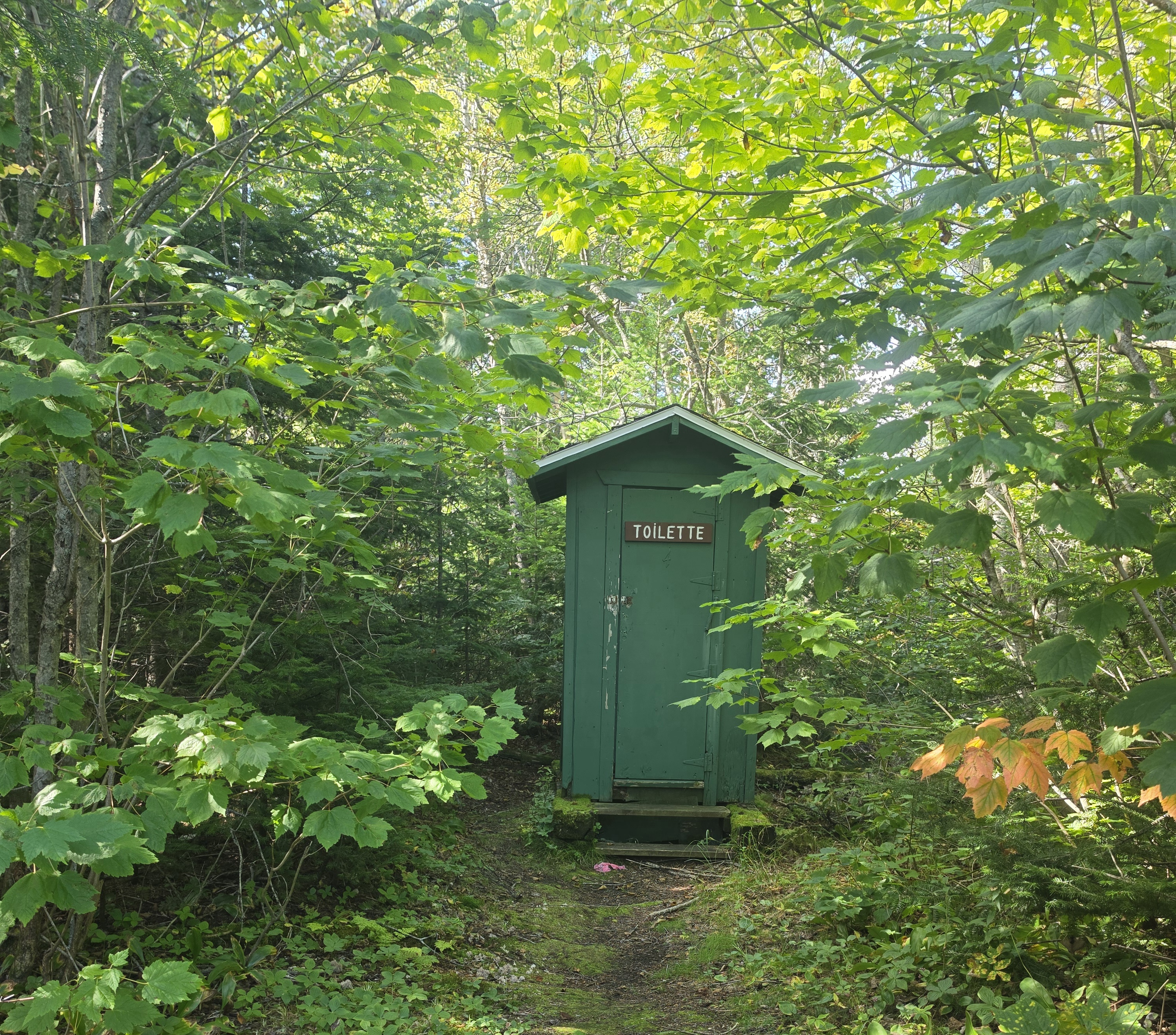 La toilette- Projet multidisciplinaire !
