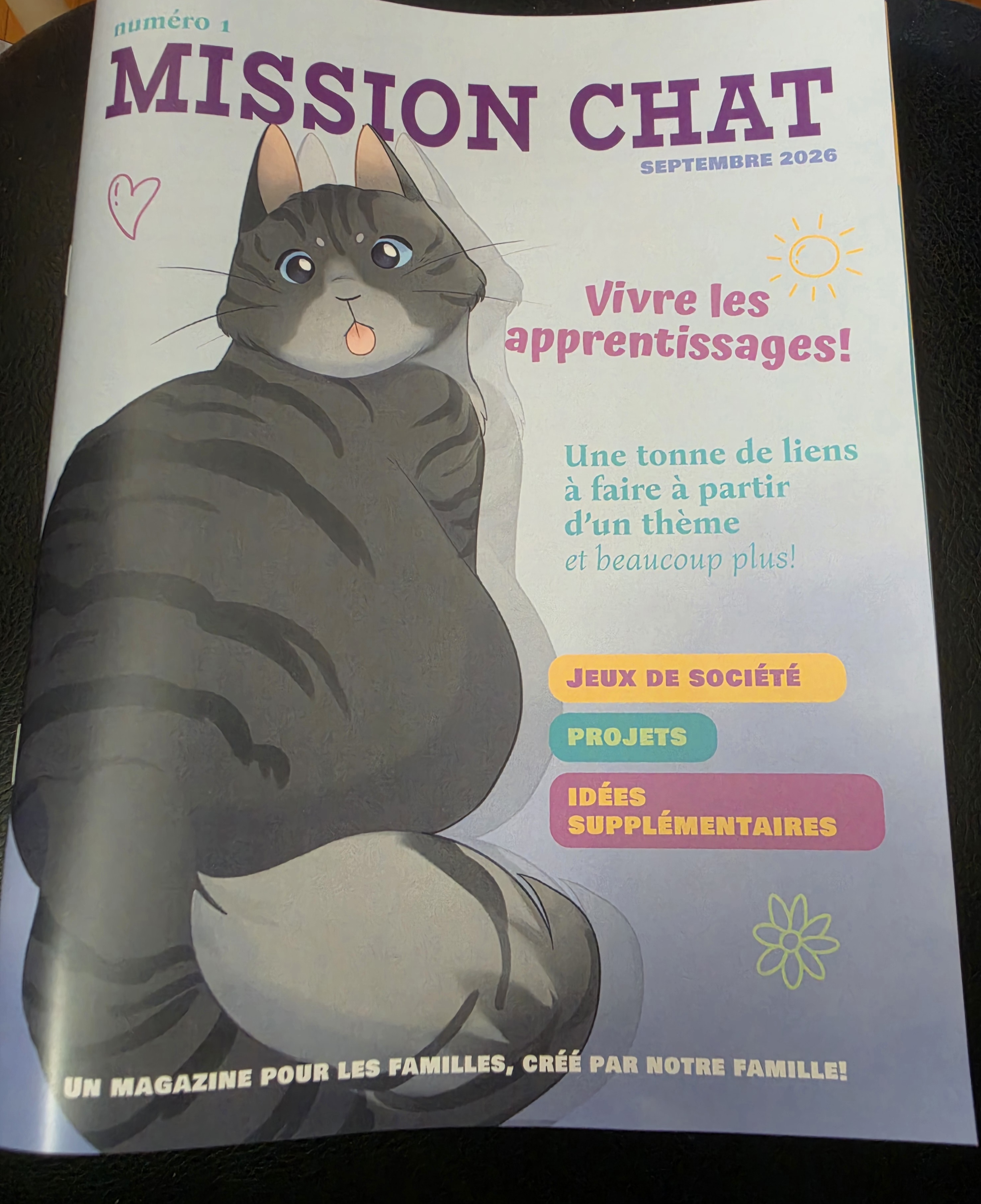Magazine version papier Mission chat 