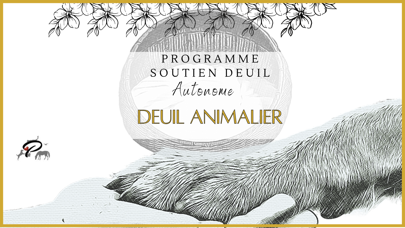 Programme Clé en main-version autonome
