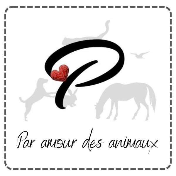 julyrenaud